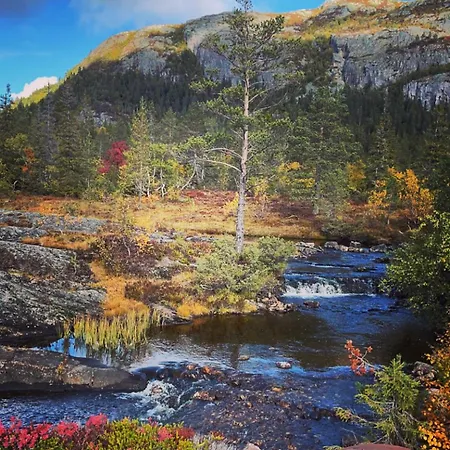 Feriehus Peaceful Close To Bo Sommarland And Lifjell-perfect For Hiking Folkestad (Telemark)